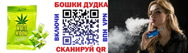 Canna-Cookies марихуана  купить закладку  Анива 