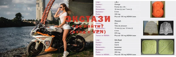 стаф Алзамай