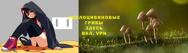 стафф Алексин