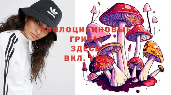 гашик Алексеевка