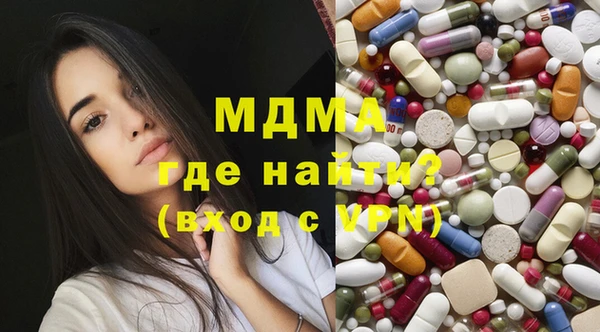 стаф Алзамай