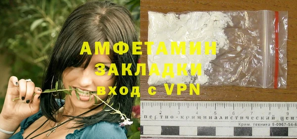 стаф Алзамай