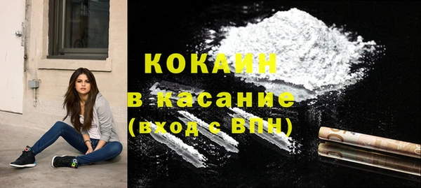 стаф Алзамай