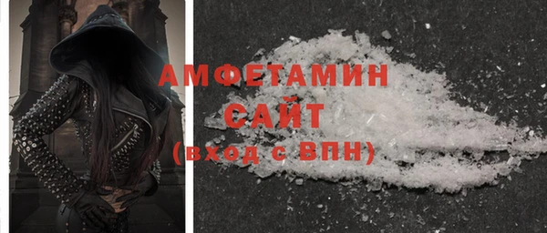 стаф Алзамай
