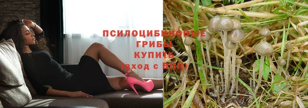 гашик Алексеевка