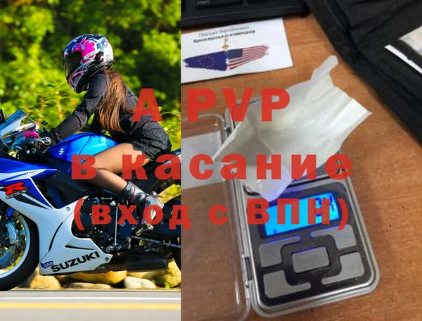стафф Алексин