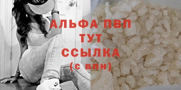 стафф Алексин