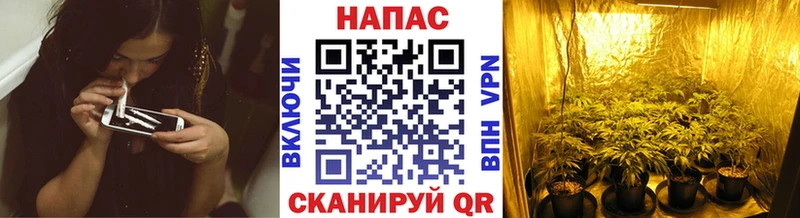 МАРИХУАНА SATIVA & INDICA Анива